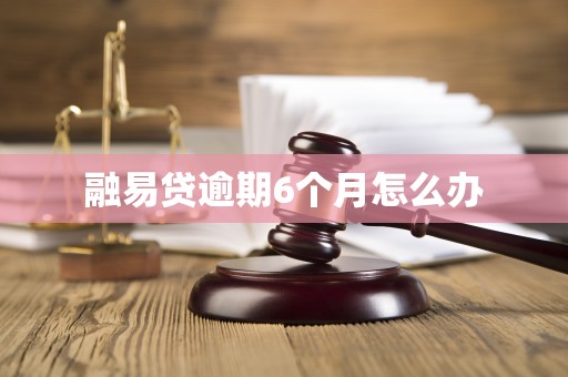 融易贷逾期6个月怎么办