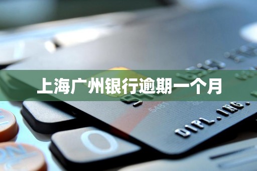 上海广州银行逾期一个月