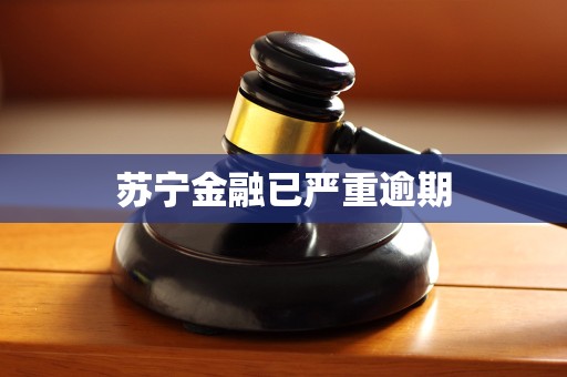 苏宁金融已严重逾期