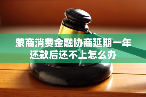 蒙商消费金融协商延期一年还款后还不上怎么办