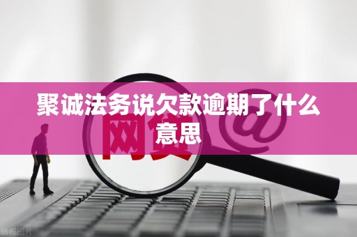 聚诚法务说欠款逾期了什么意思