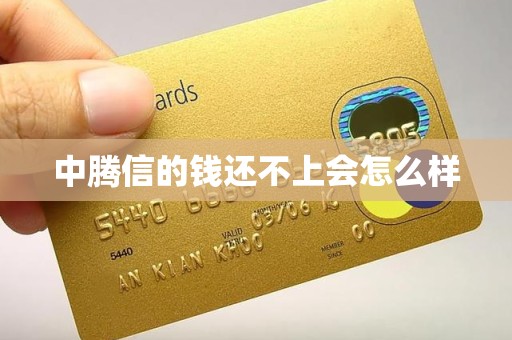 中腾信的钱还不上会怎么样