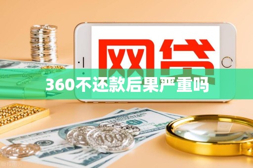 360不还款后果严重吗