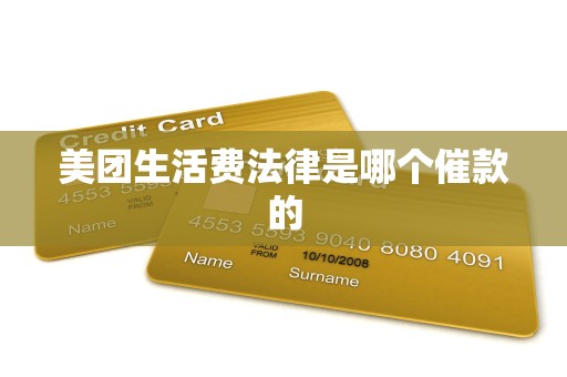 美团生活费法律是哪个催款的