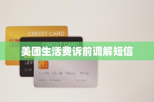 美团生活费诉前调解短信