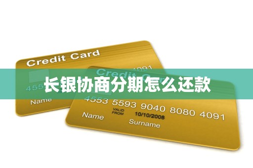 长银协商分期怎么还款