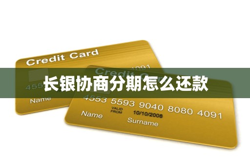 长银协商分期怎么还款