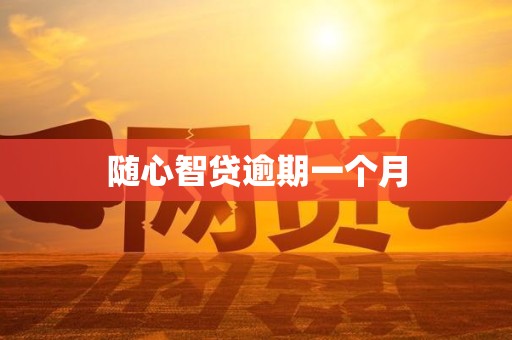 随心智贷逾期一个月
