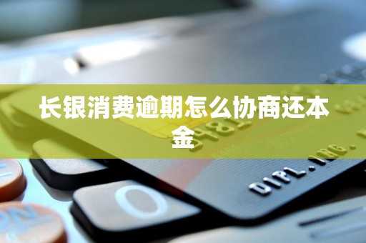 长银消费逾期怎么协商还本金