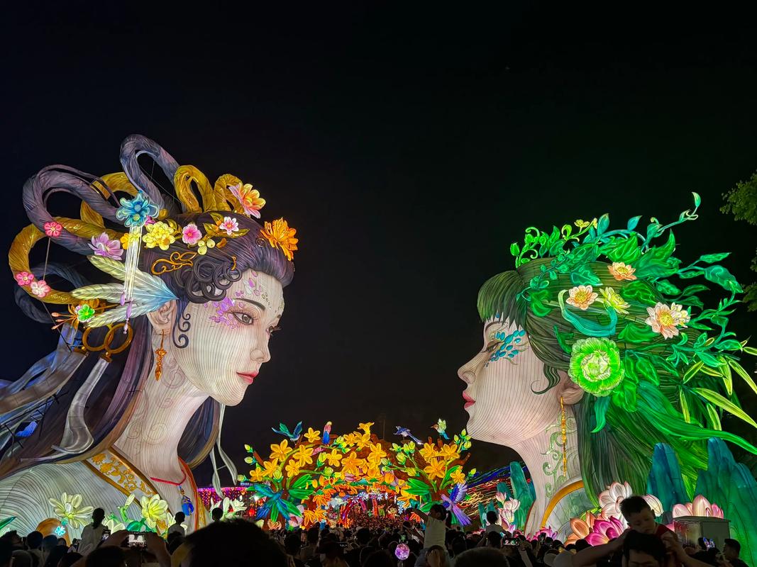 和和美美 华裔大学生南京体验中华千年灯彩